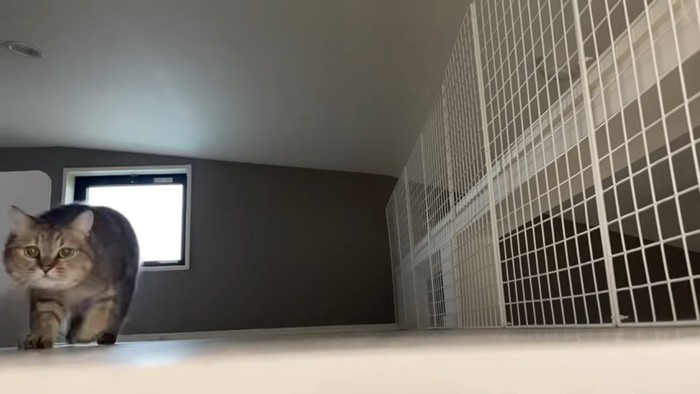 近づいてくる姿