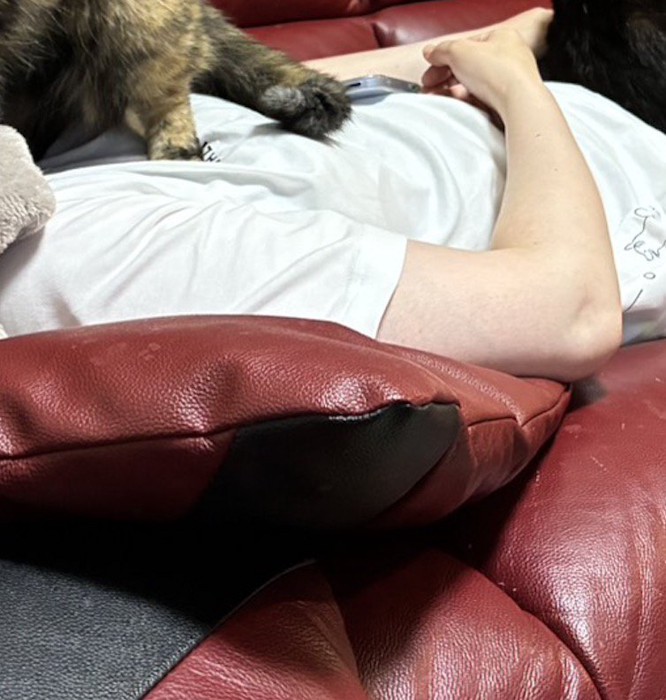 ソファの上で眠る飼い主