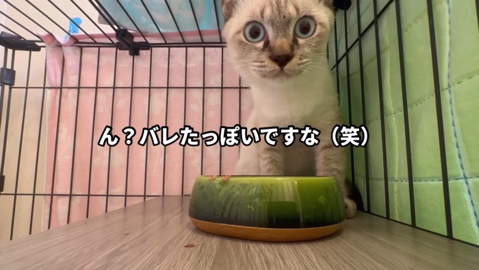 「ん?バレたっぽいですな(笑)」