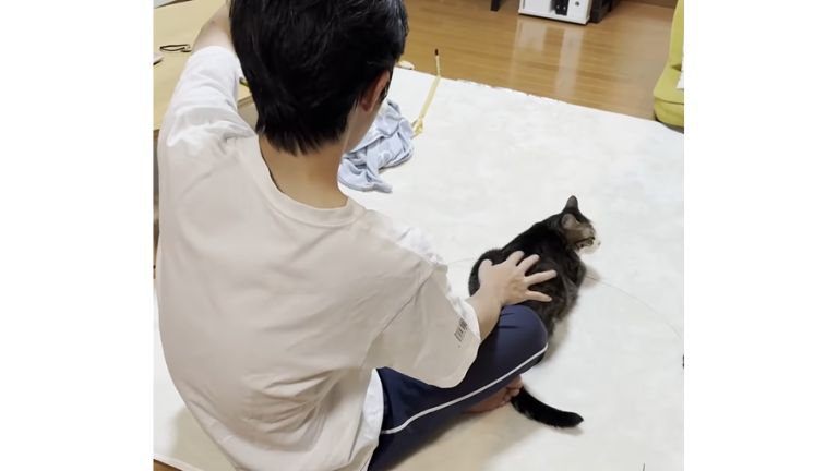 猫と男性