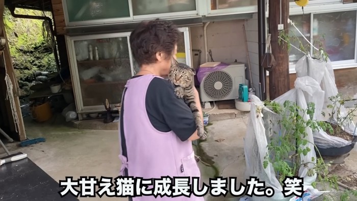 抱っこで移動する猫