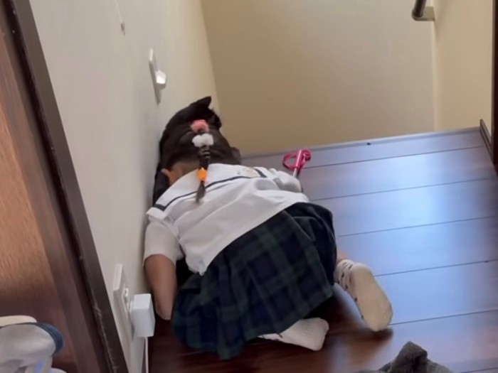 猫に顔をうずめる妹