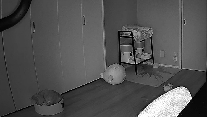 水が入っていた皿がひっくり返されて床に水が溜まっている光景