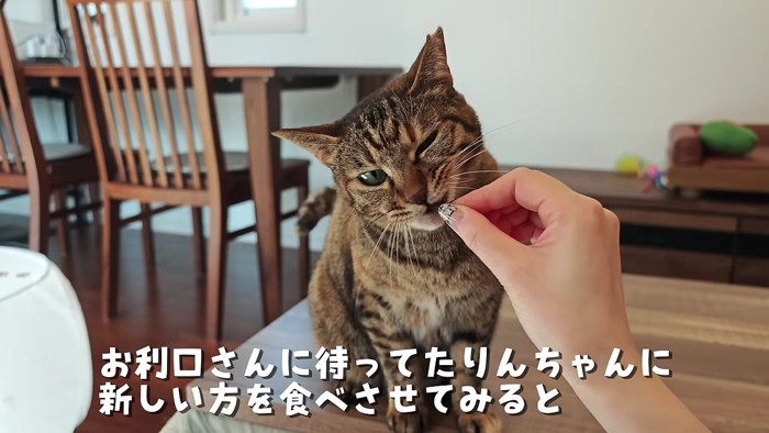 新しいおやつを初挑戦のりん