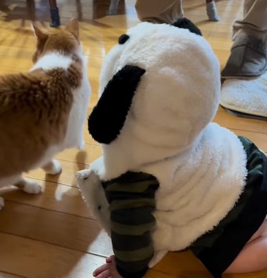 背を向ける猫とそれを眺めるフードをかぶった赤ちゃん