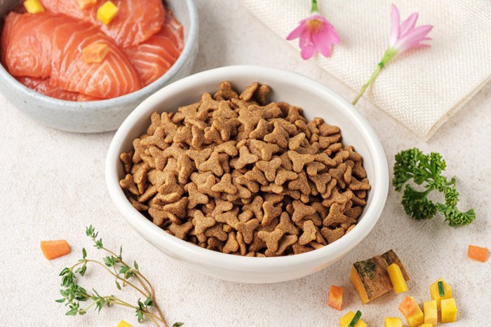 キャットフードと野菜&サーモン