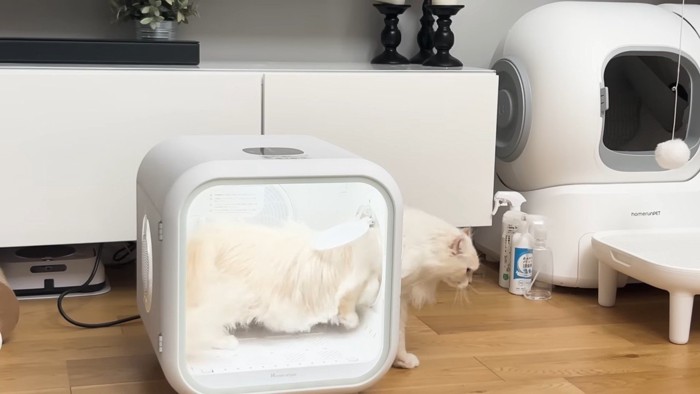 ドライヤーハウスの外へ