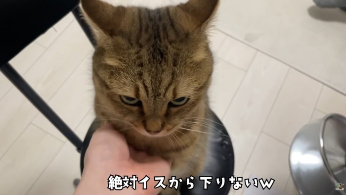 テロップ「絶対イスから~」