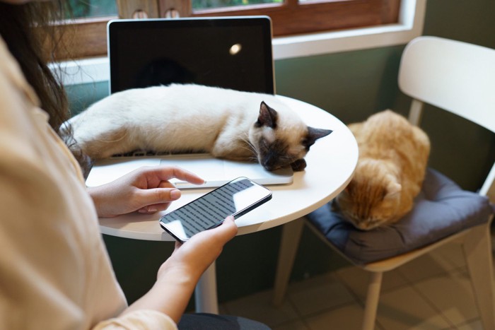 スマホで予約する飼い主