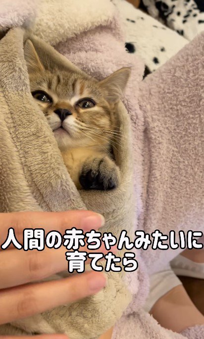 人間の赤ちゃんのように育てられたあられちゃん