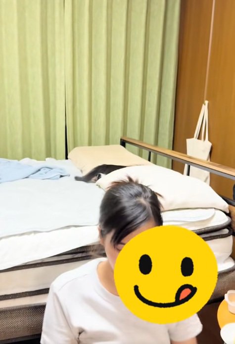 枕の隙間に隠れる子猫と飼い主