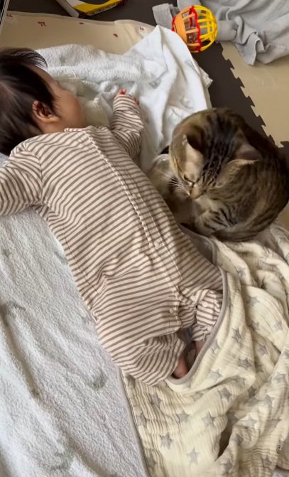 寝ている赤ちゃんのそばにきて様子をうかがう猫