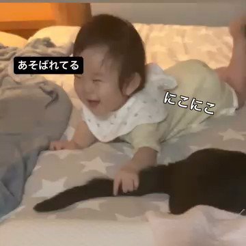 猫のしっぽをつかむ赤ちゃん