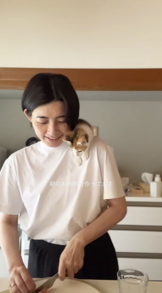 食材を切る女性の手元を見つめる子猫