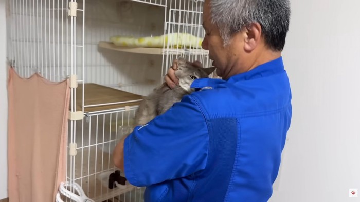 青い服の男性に抱かれる猫ちゃん