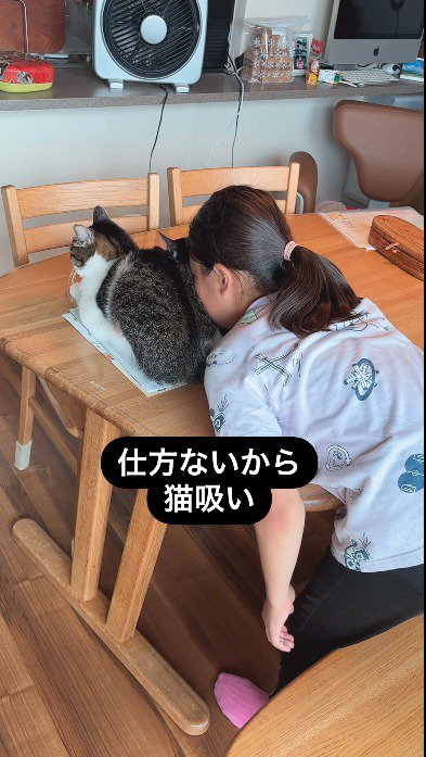 猫の背中に顔を埋める女の子