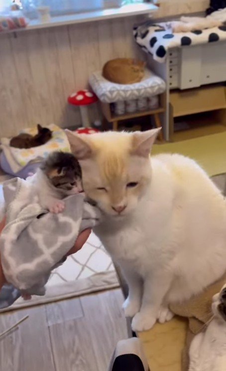 モナカちゃんとソルくん