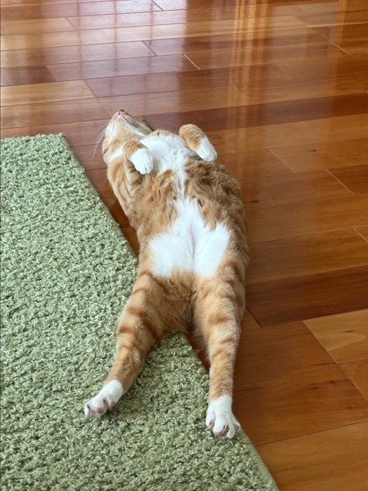 床の上で仰向け