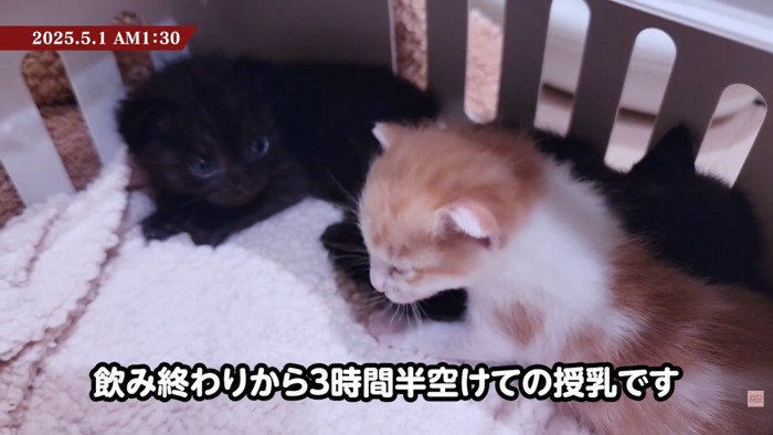 テロップ「飲み終わりから~」