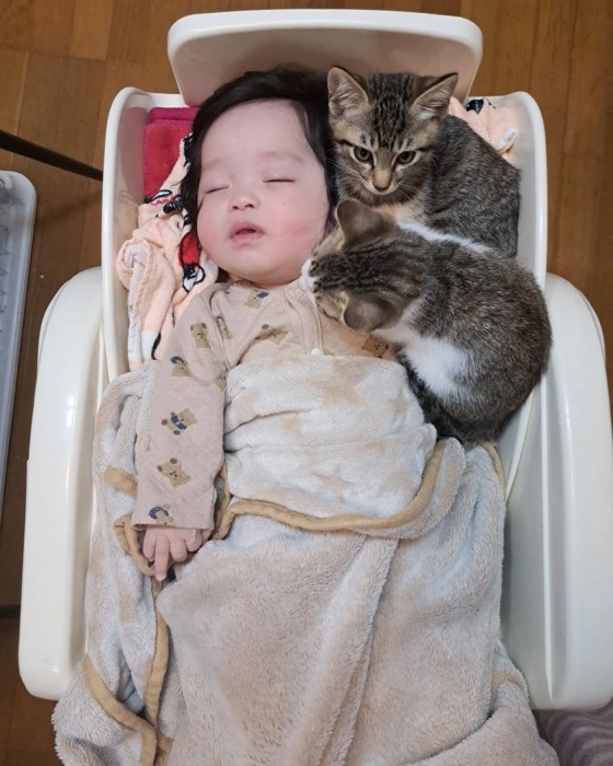 赤ちゃんの顔の横にいる子猫