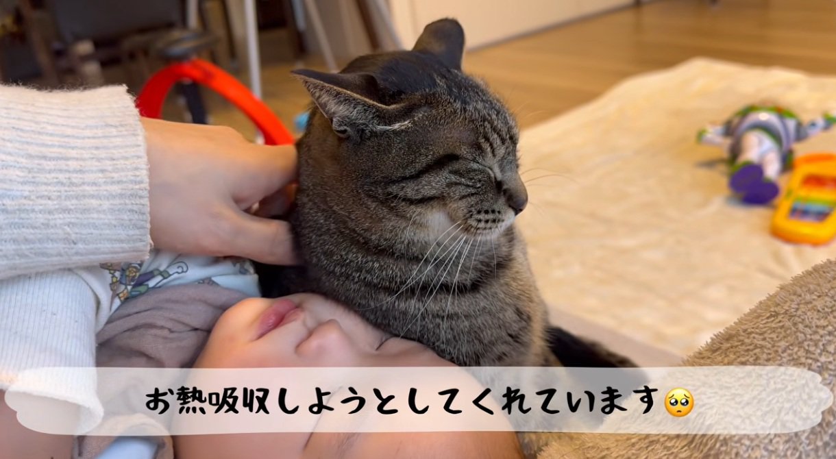 寝込んでいる赤ちゃんのそばに寄り添う猫