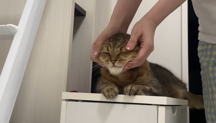 フェイスマッサージ