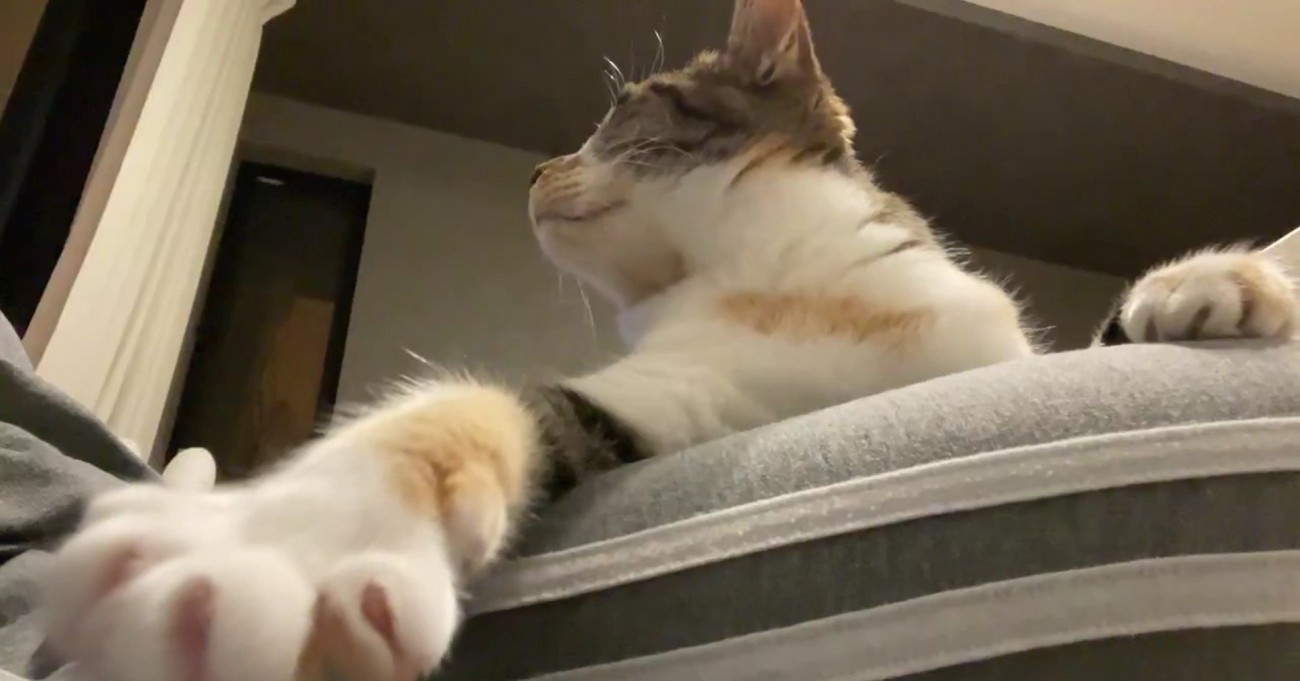 インカメラで撮影中のむーちゃん