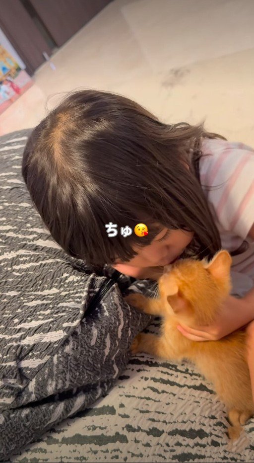 子猫の鼻にキスをする女の子