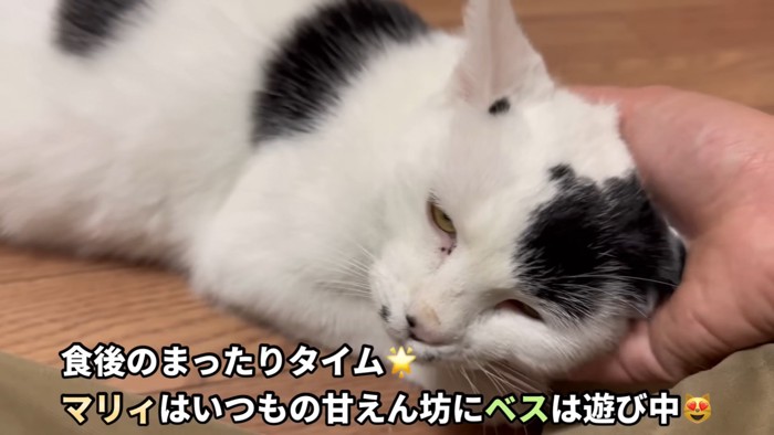 テロップ「食後の～」