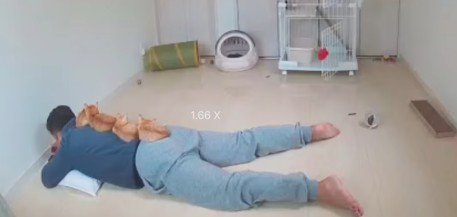 眠るパパさんにのっている4匹の猫