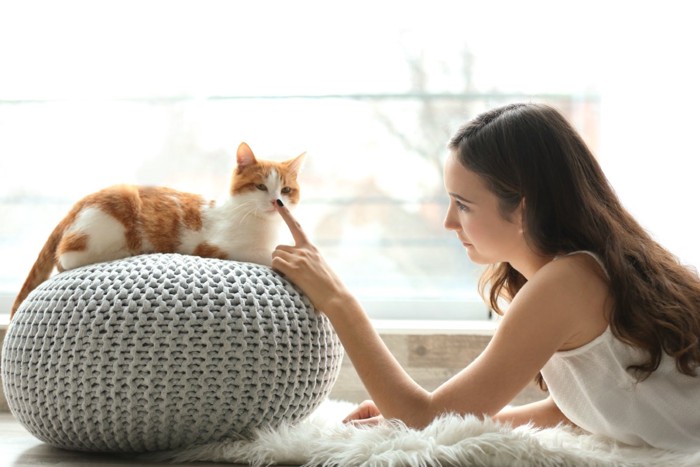 鼻タッチをする女性と猫