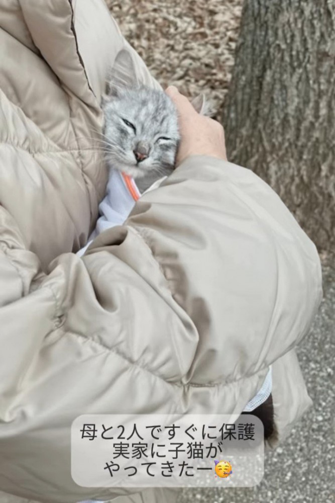 外で抱っこされる子猫