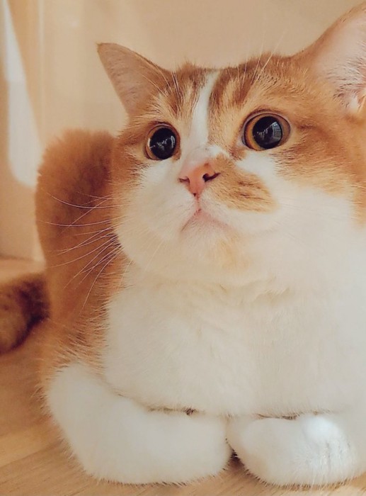 座っているもなかくん