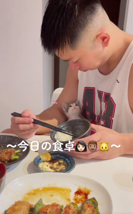 食事中の男性と子猫