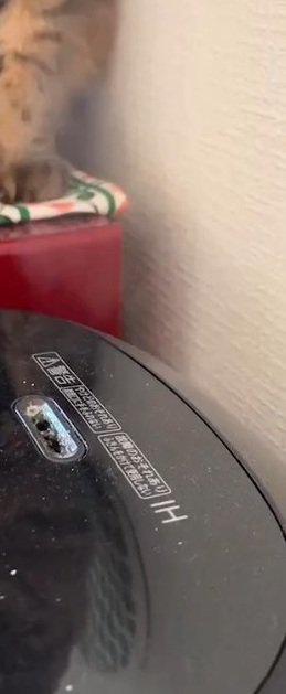 湯気が出ている炊飯器