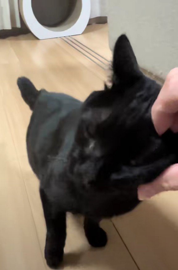 手で作った半分ハートと虎徹くん