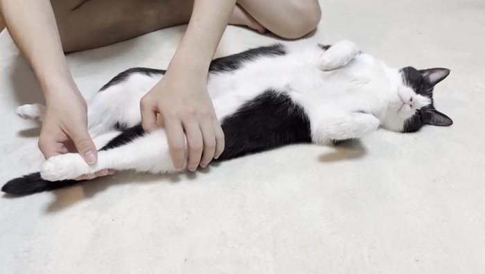 後ろ足を伸ばして1