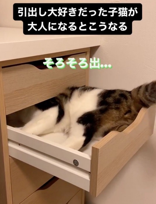 出ようとするこたろう君