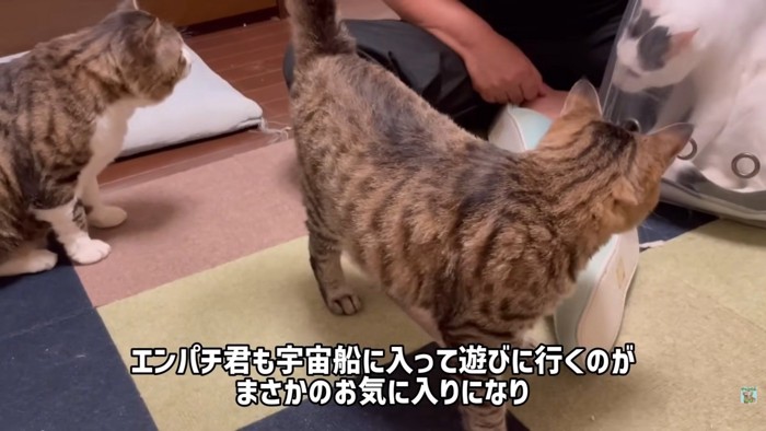 テロップ「エンパチ君も宇宙船に入って~」