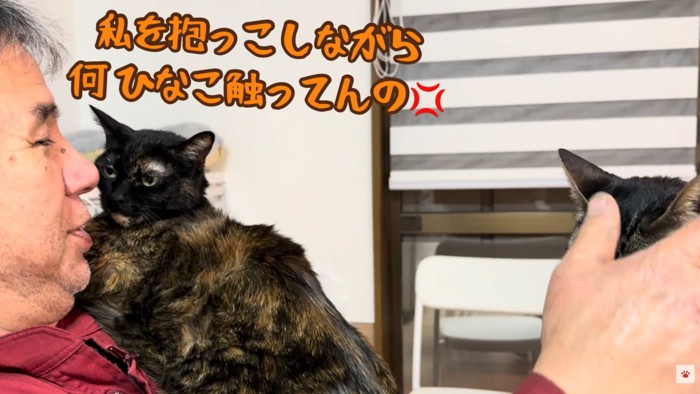 テロップ「私を抱っこしながら～」