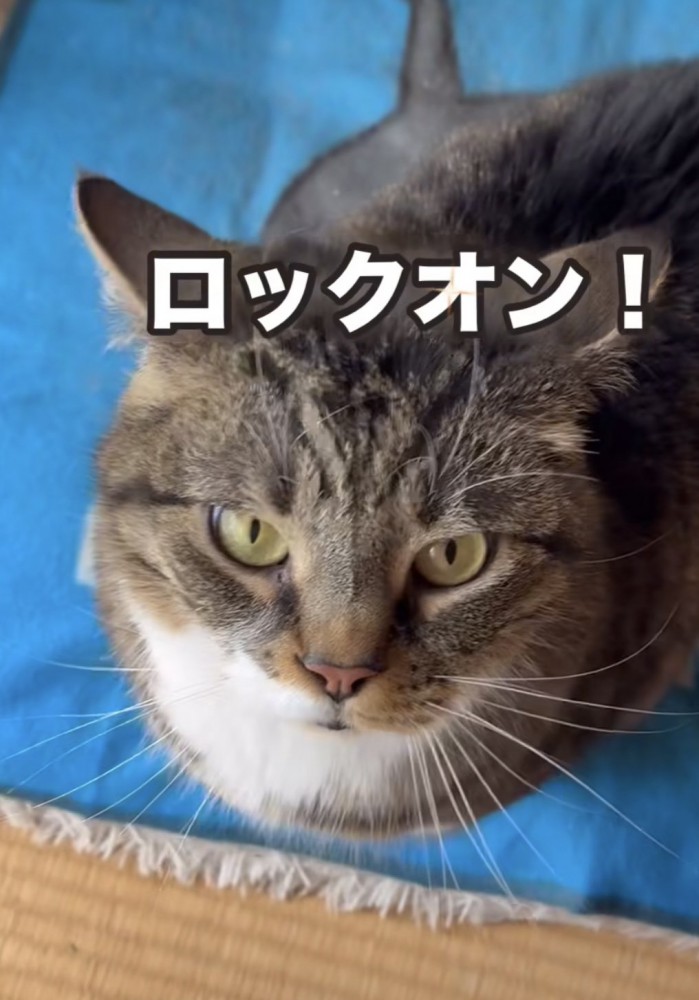 「ロックオン!」のテロップ写真