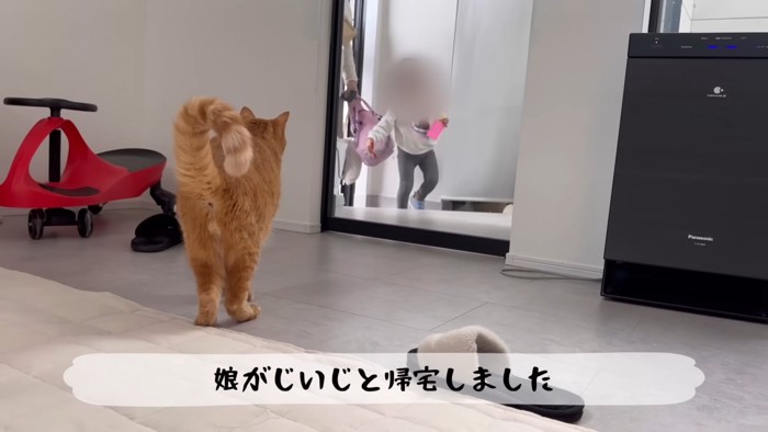 猫の後ろ姿