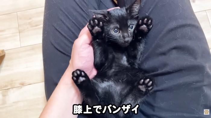 テロップ「膝上で～」