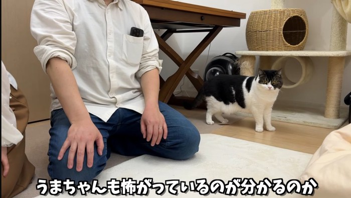 様子見をするうま次郎くん