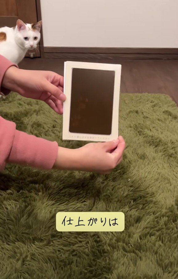 小町ちゃんの手形と足形