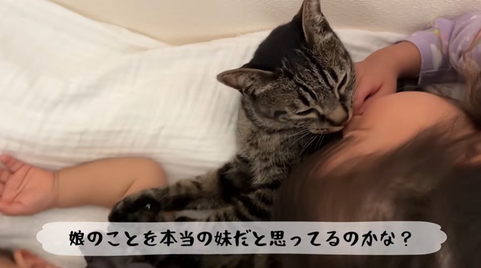 子供達と一緒に寝ている猫