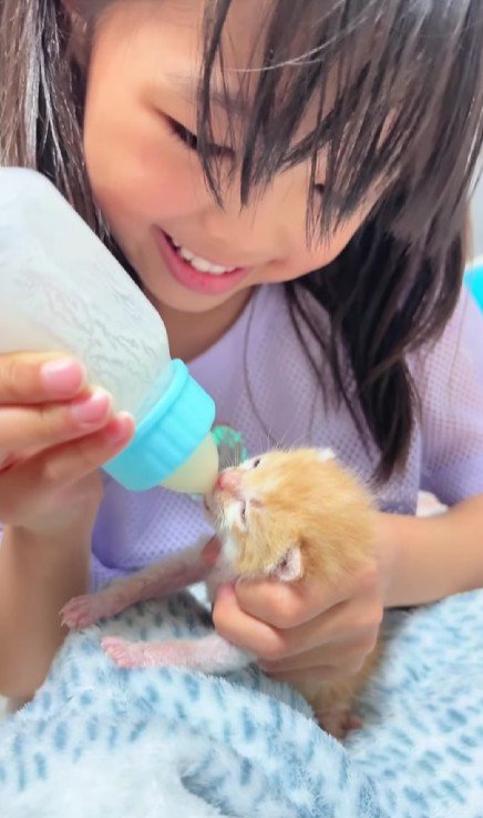 女の子と子猫