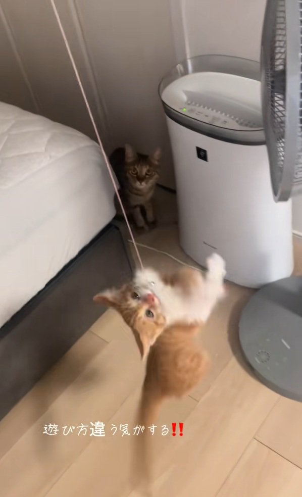 回転するいえもんくん