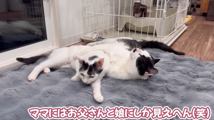 ハグし続けるケンシロウくん