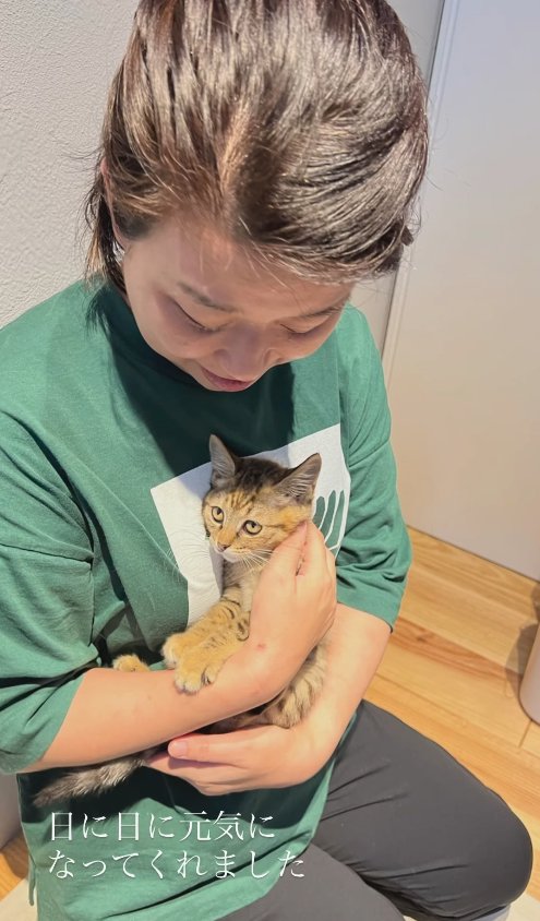 保護主さんに抱っこされている子猫